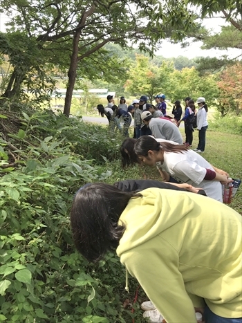写真：茂みで人工物を探す学生