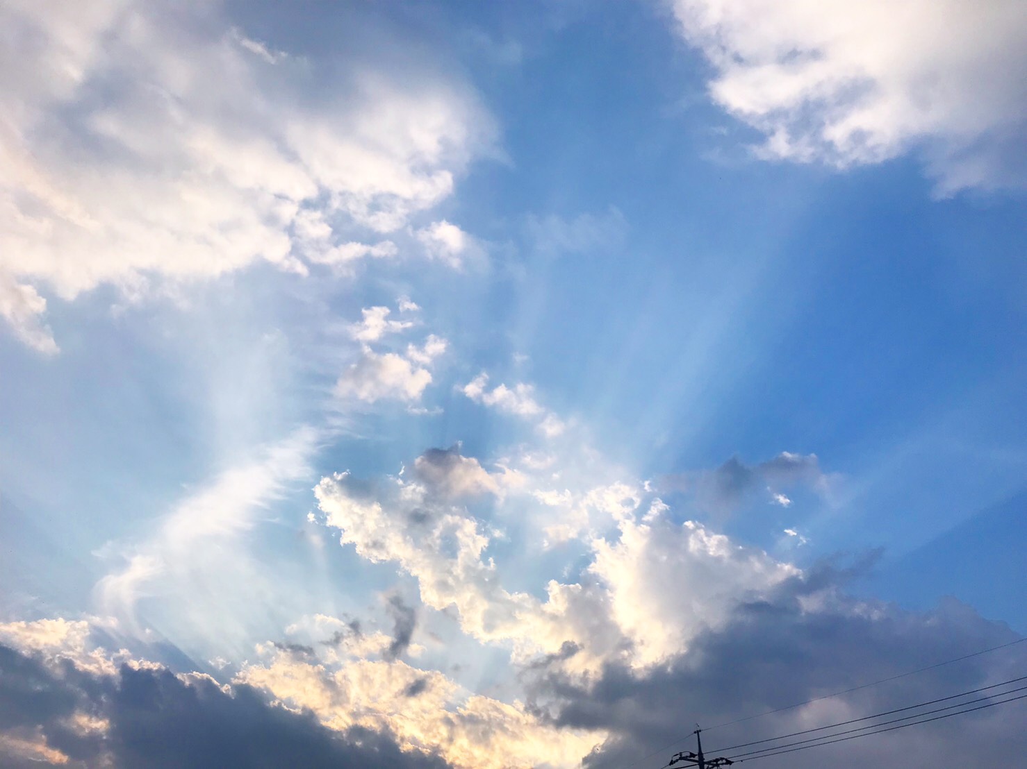 S__23330829.jpg