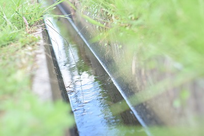 展示写真