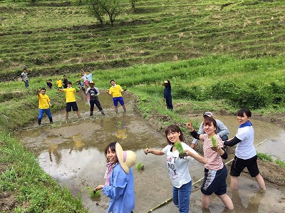 田植え作業中の写真