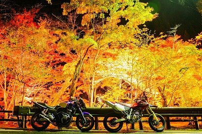展示写真