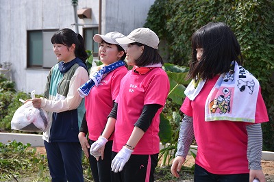 芋掘りの様子