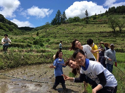 田植え作業中の写真