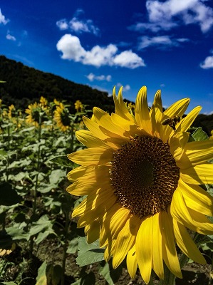 resize_20180801_180801_0013.jpg