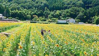 resize_20180801_180801_0029.jpg
