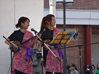 写真：三線を弾く様子