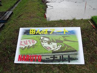 田植え完成イメージの写真