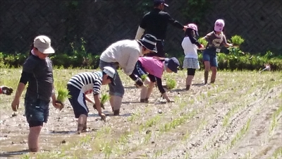 イベントの写真