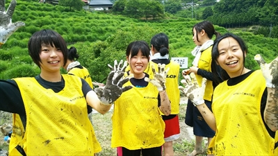 棚田再生プロジェクトの写真