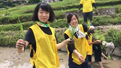 棚田再生プロジェクトの写真